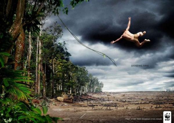 Социальная реклама от WWF (34 фото)