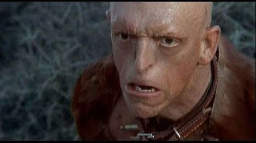 Michael Berryman    (17 )