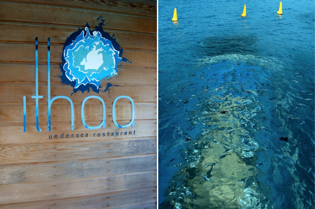 Ресторан 5 8 Undersea Restaurant