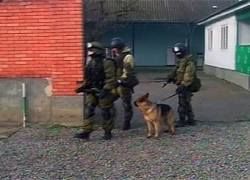 ФСБ стало известно о подготовке терактов в Ингушетии