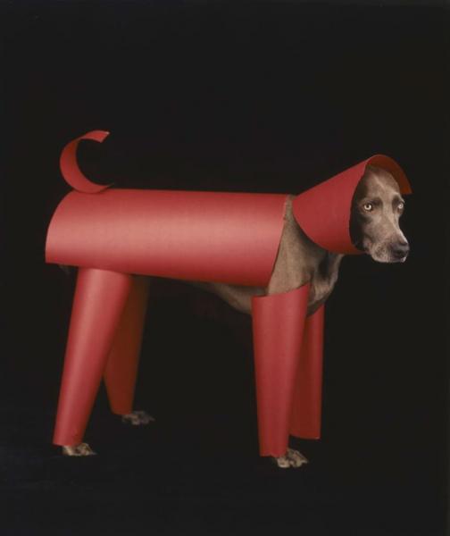 William Wegman    (20 )