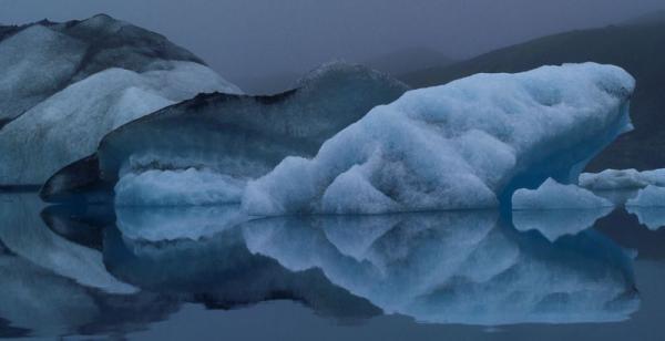    Art Wolfe (29 )