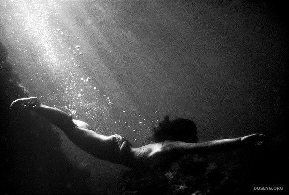 Подводная жизнь глазами фотографа Карлоса Франко (16 фото)