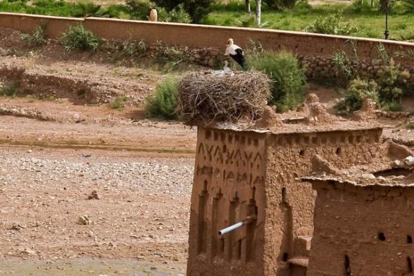 Касба Айт-Бен-Хадду - крепость у реки (11 фото)