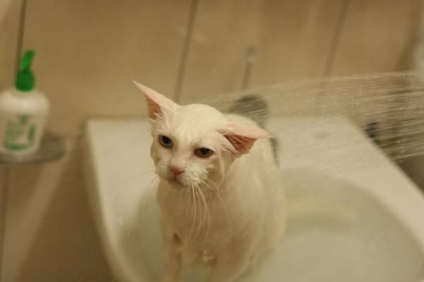 Прикольные картинки Прикольные картинки