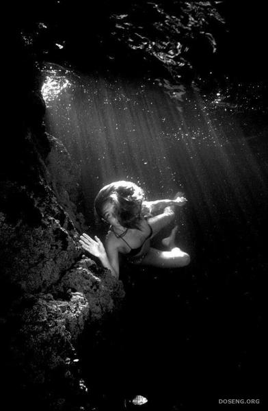 Подводная жизнь глазами фотографа Карлоса Франко (16 фото)