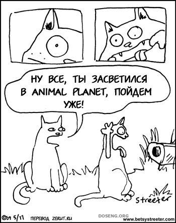  (75 )