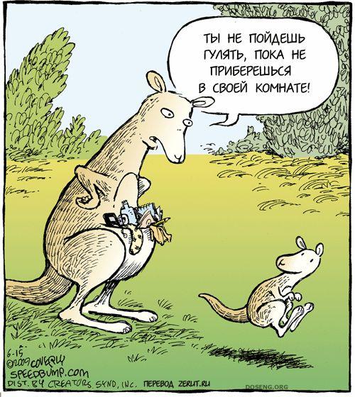  (75 )