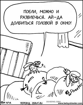  (75 )