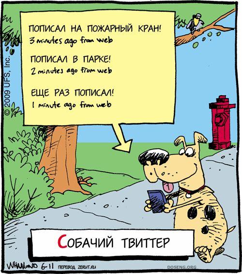  (75 )
