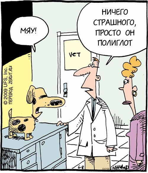  (75 )