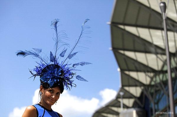 Royal Ascot (60 )