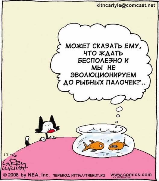  (75 )
