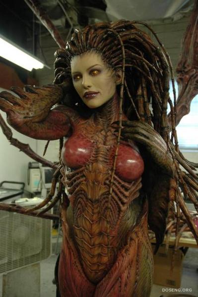  Kerrigan (25 )