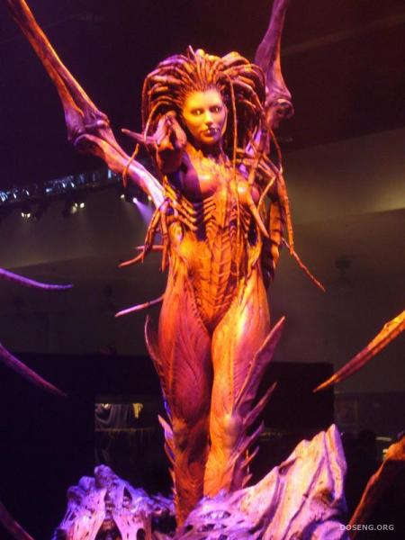  Kerrigan (25 )