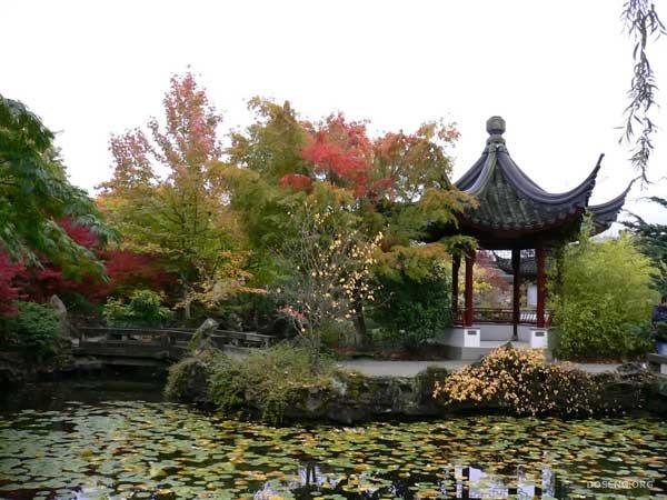 Красота Японского сада (44 фото)