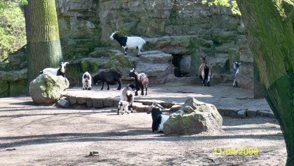 Tierpark  