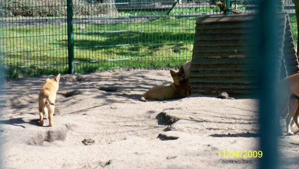 Tierpark  