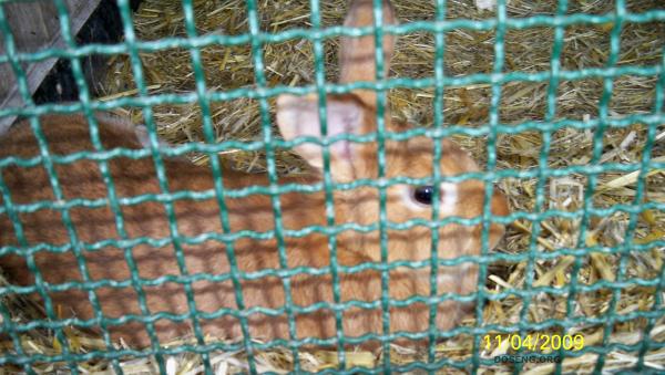 Tierpark  