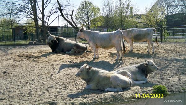 Tierpark  