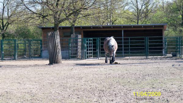 Tierpark  