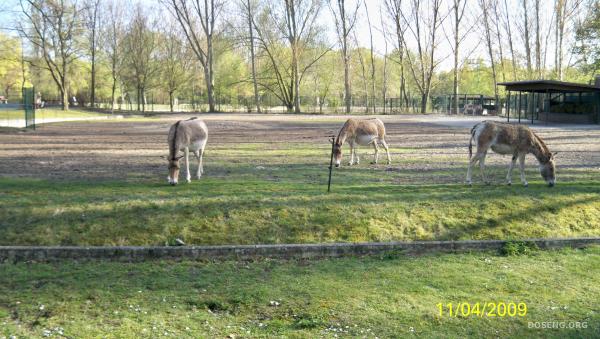 Tierpark  