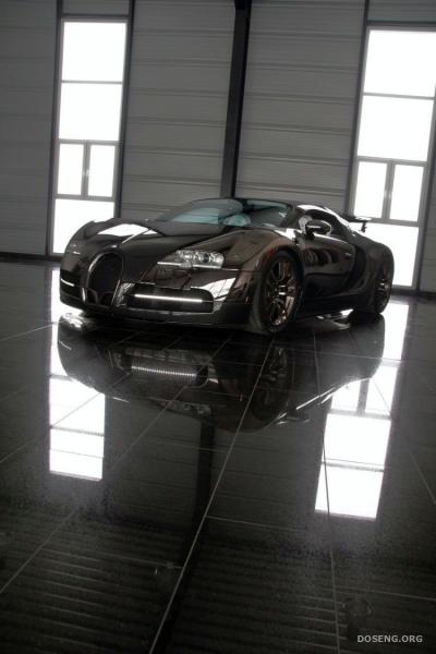 Mansory Bugatti Veyron Vincero (27 )