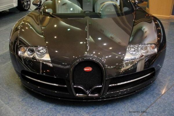 Mansory Bugatti Veyron Vincero (27 )