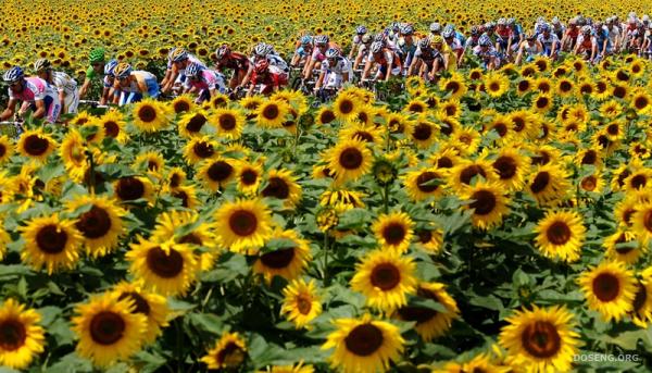Tour de France - 2009 (39 фото)