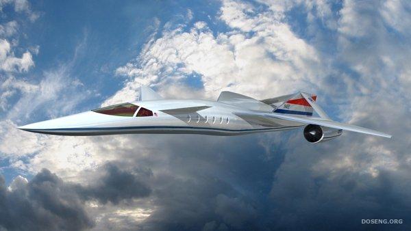  Quiet Supersonic Transport (12 )