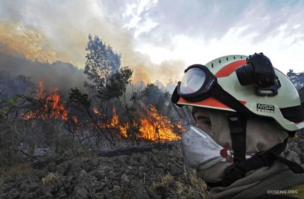 Пожары в Средиземноморье (35 фото)
