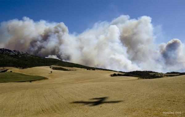 Пожары в Средиземноморье (35 фото)