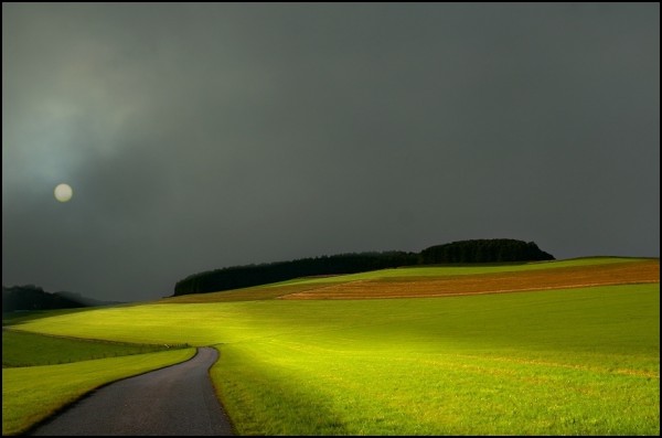     Veronika Pinke (30 )