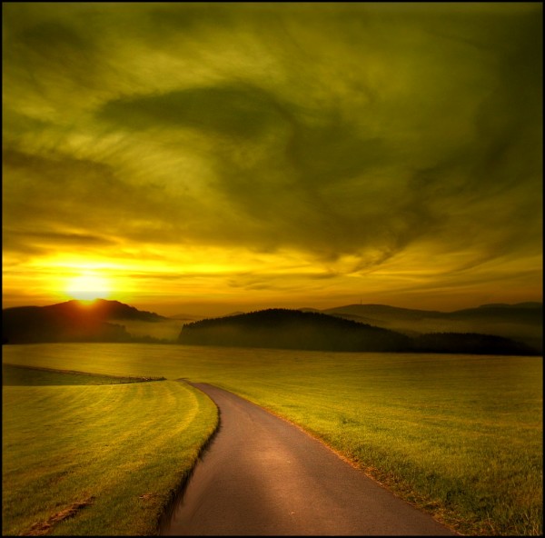     Veronika Pinke (30 )