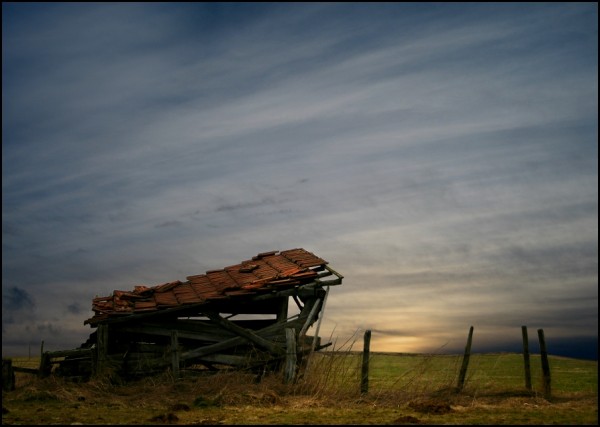     Veronika Pinke (30 )