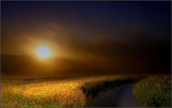     Veronika Pinke (30 )