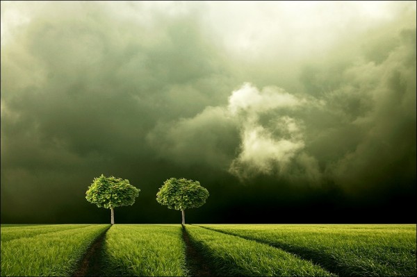     Veronika Pinke (30 )