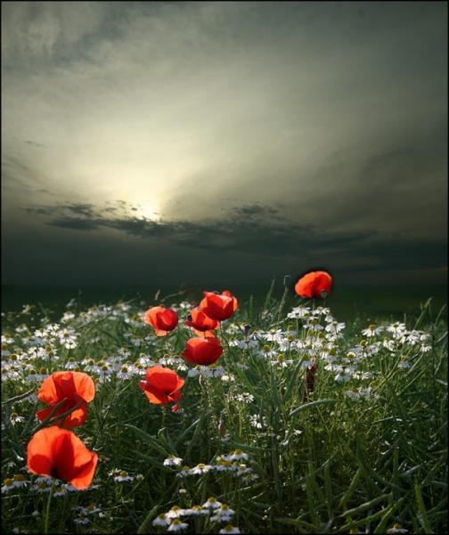     Veronika Pinke (30 )