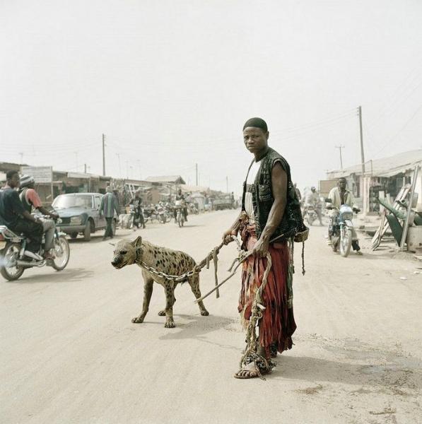 Домашние животные в Африке (14 фото)