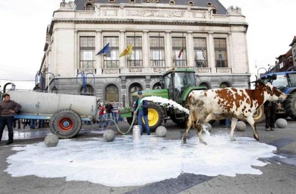 Молочная забастовка в Бельгии (6 фото)