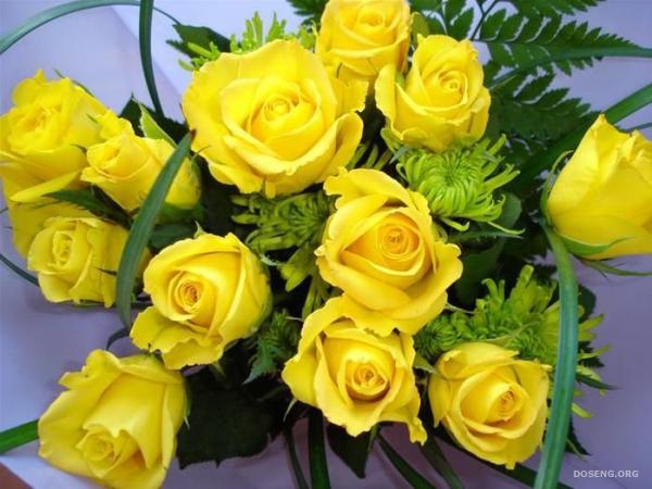 Очаровательным девушкам эти желтые розы ;)