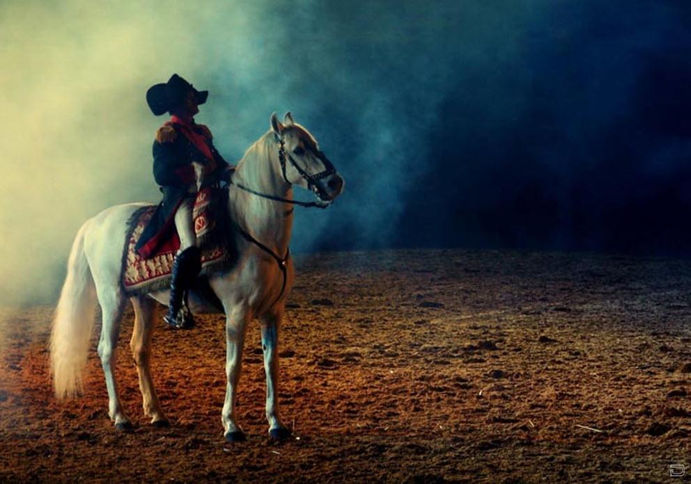 Оставаться на коне. Наполеон на коне. Человека на зеленой лошади. Лошадь помощник человека. Наполеон на верховой езде.