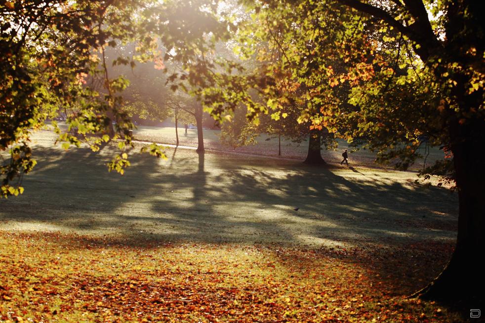 Осенняя 19. Weather October. Warm Fall.