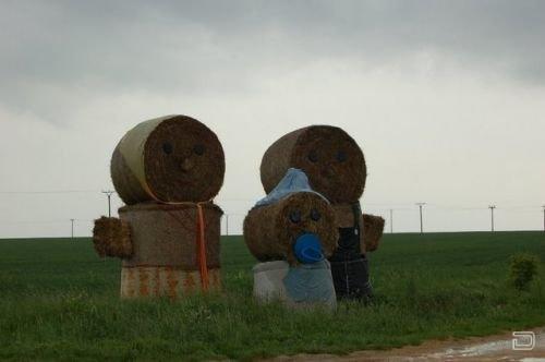 Сенокос - любимое время фермеров (27 фото)
