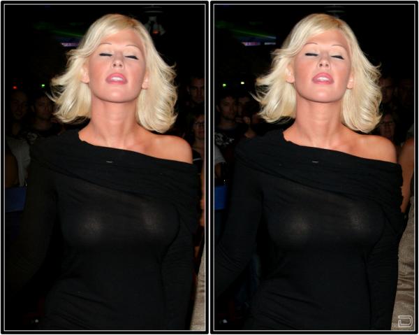 Мисс бикини США 2008 в 3D (24 картинки)
