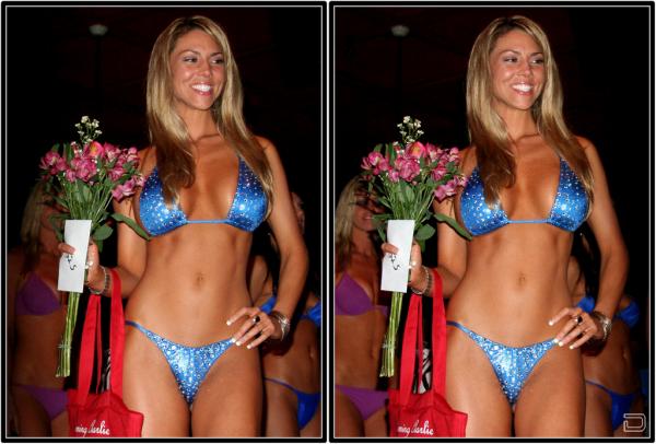 Мисс бикини США 2008 в 3D (24 картинки)