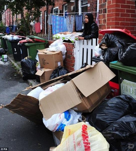 Забастовка мусорщиков в Лондоне (5 фото)