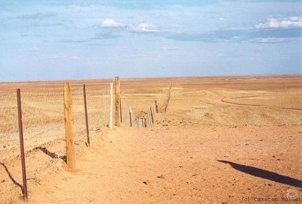Самый длинный забор - австралийский, защиты от Динго (12 фото)