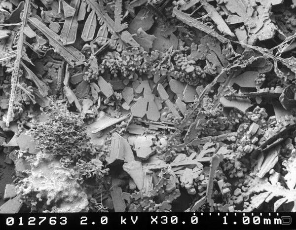 Обычные снежинки под микроскопом (31 фото)