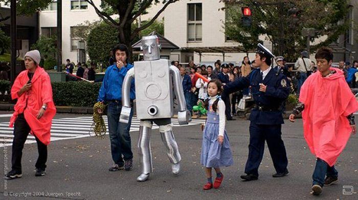 Робот из Японии (7 фото)